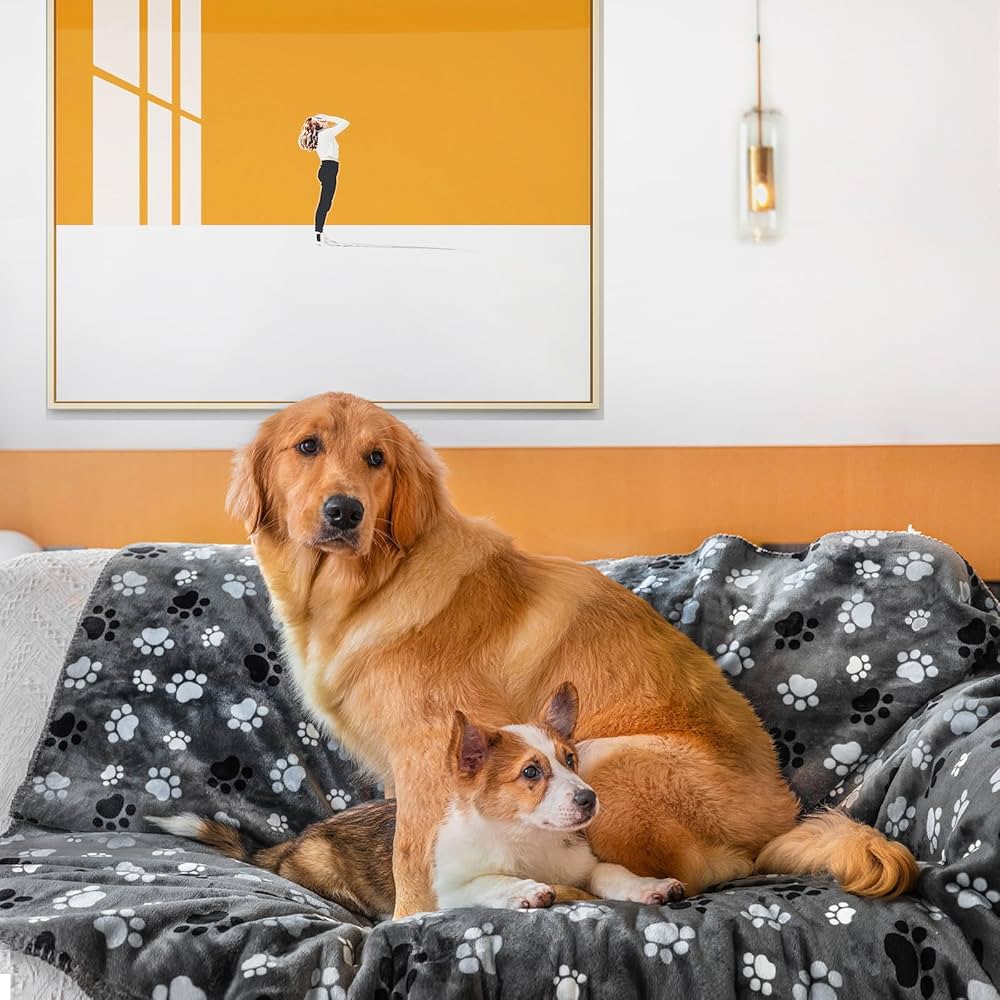 Amazon.com : AIWEK Waterproof Pet Blanket Dog Blankets